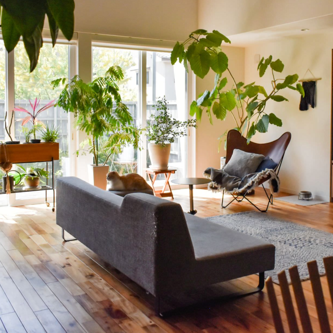 フランネルソファ ーペットとソファのある暮らしー – FELICE.ONLINE フランネルソファ ーペットとソファのある暮らしー – FELICE.ONLINE