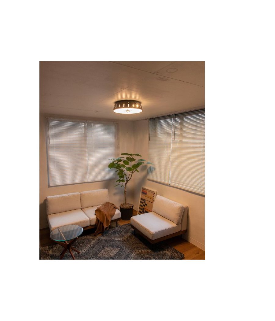 ACME Furniture(アクメファニチャー)サーガ エルイーディー シーリング ライト