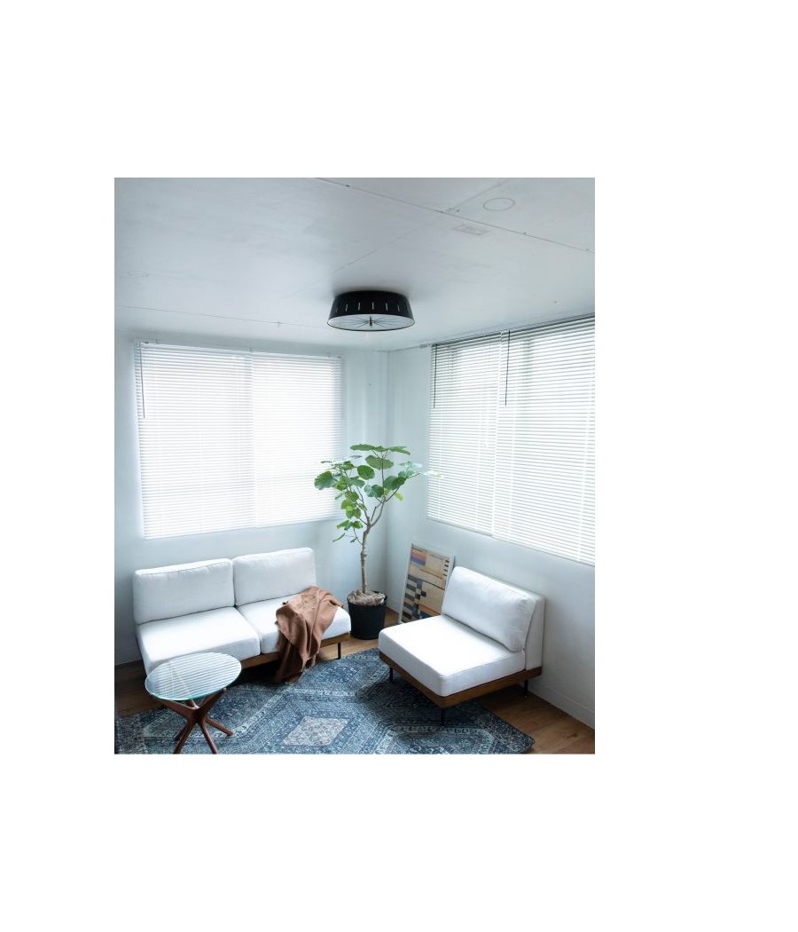 ACME Furniture(アクメファニチャー)サーガ エルイーディー シーリング ライト