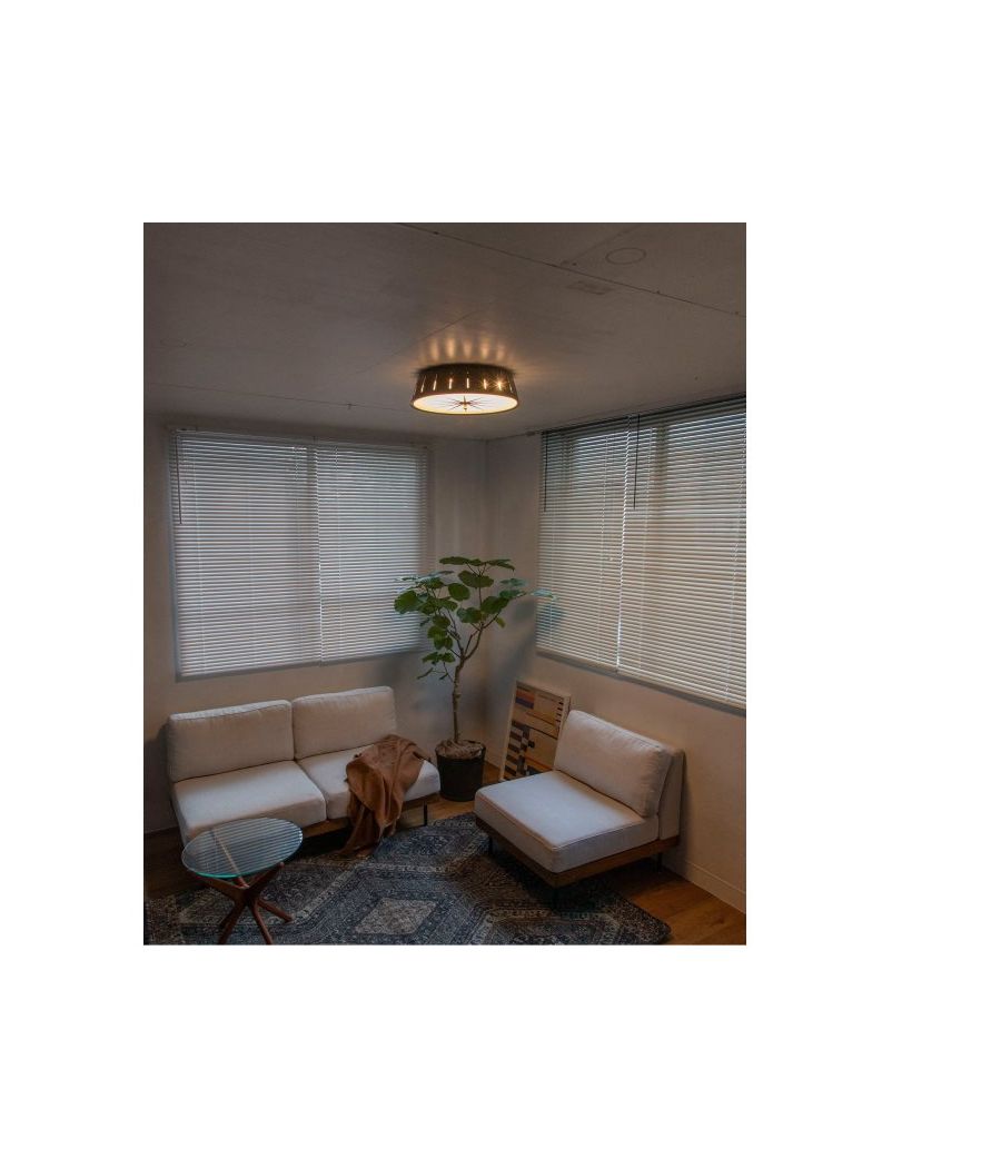 ACME Furniture(アクメファニチャー)サーガ エルイーディー シーリング ライト