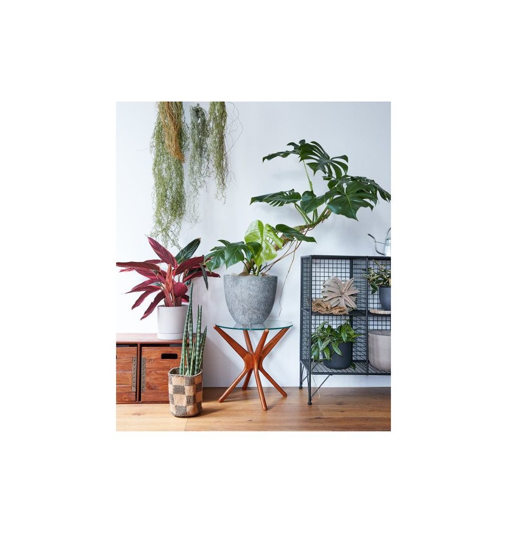 ACME Furniture(アクメファニチャー)トラッセル サイド テーブル