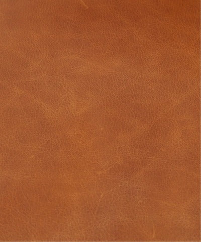 ACME Furniture(アクメファニチャー)FRESNO SOFA(フレスノソファ)