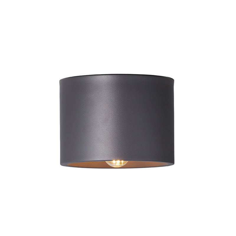 ART WORK STUDIO（アートワークスタジオ）Eve-ceiling light（イブシーリングライト）