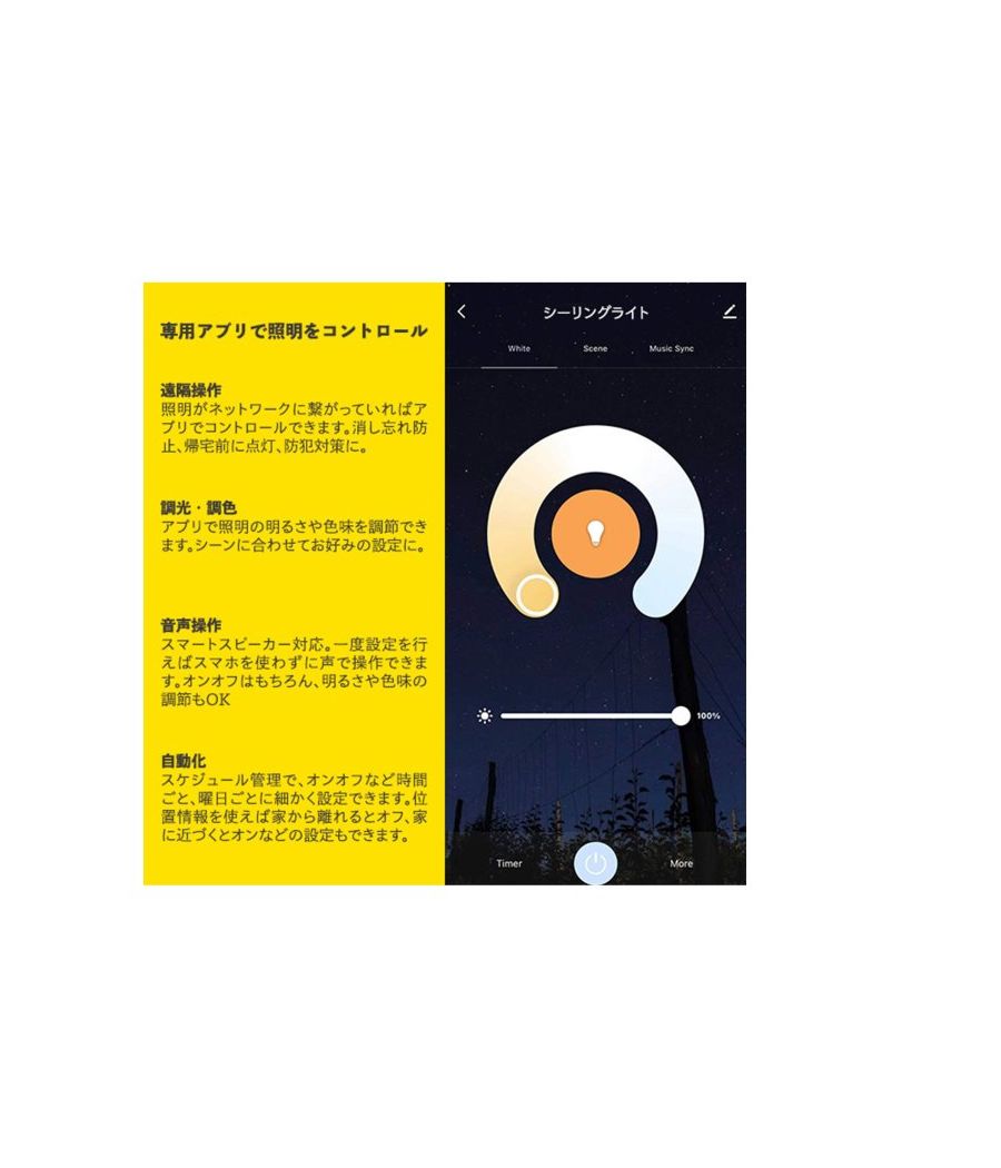 ACME Furniture（アクメファニチャー）サーガ エルイーディー シーリング ライト