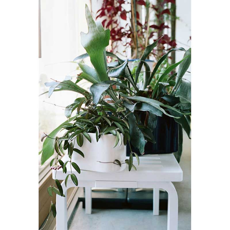 Artek（アルテック）ベンチ 153A／153B スリット トップ