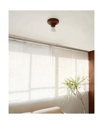 ACME Furniture（アクメファニチャー）IRVIN CEILING LAMP　（アーヴィン シーリングランプ）