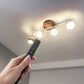ART WORK STUDIO（アートワークスタジオ）HARMONY GRANDE-remote ceiling lamp（ハーモニーグランデリモートシーリングランプ）