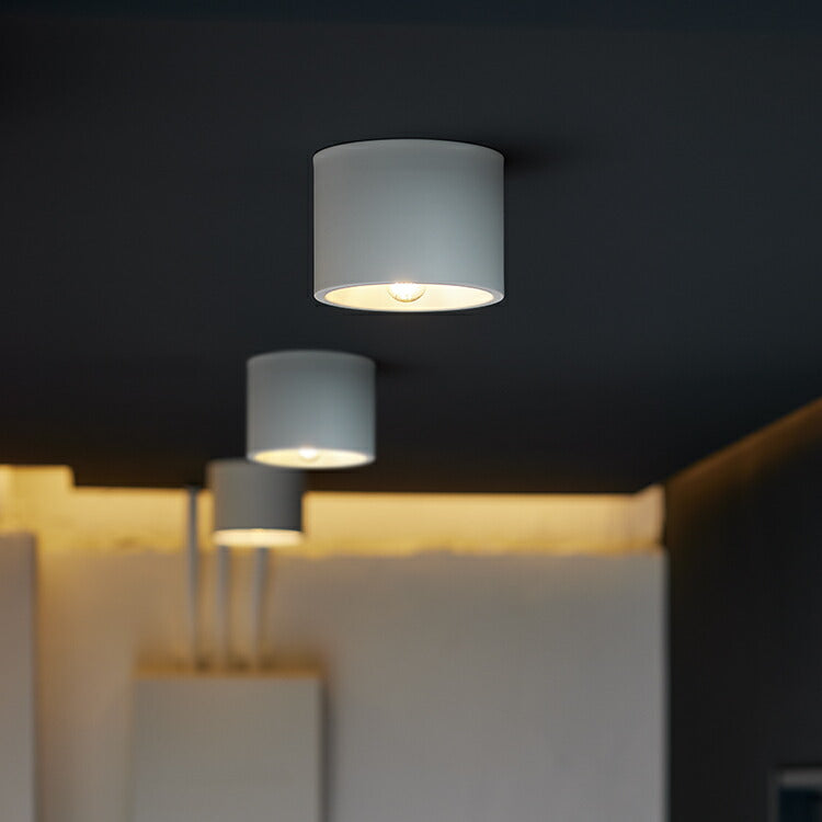 ART WORK STUDIO（アートワークスタジオ）Eve-ceiling light（イブシーリングライト）