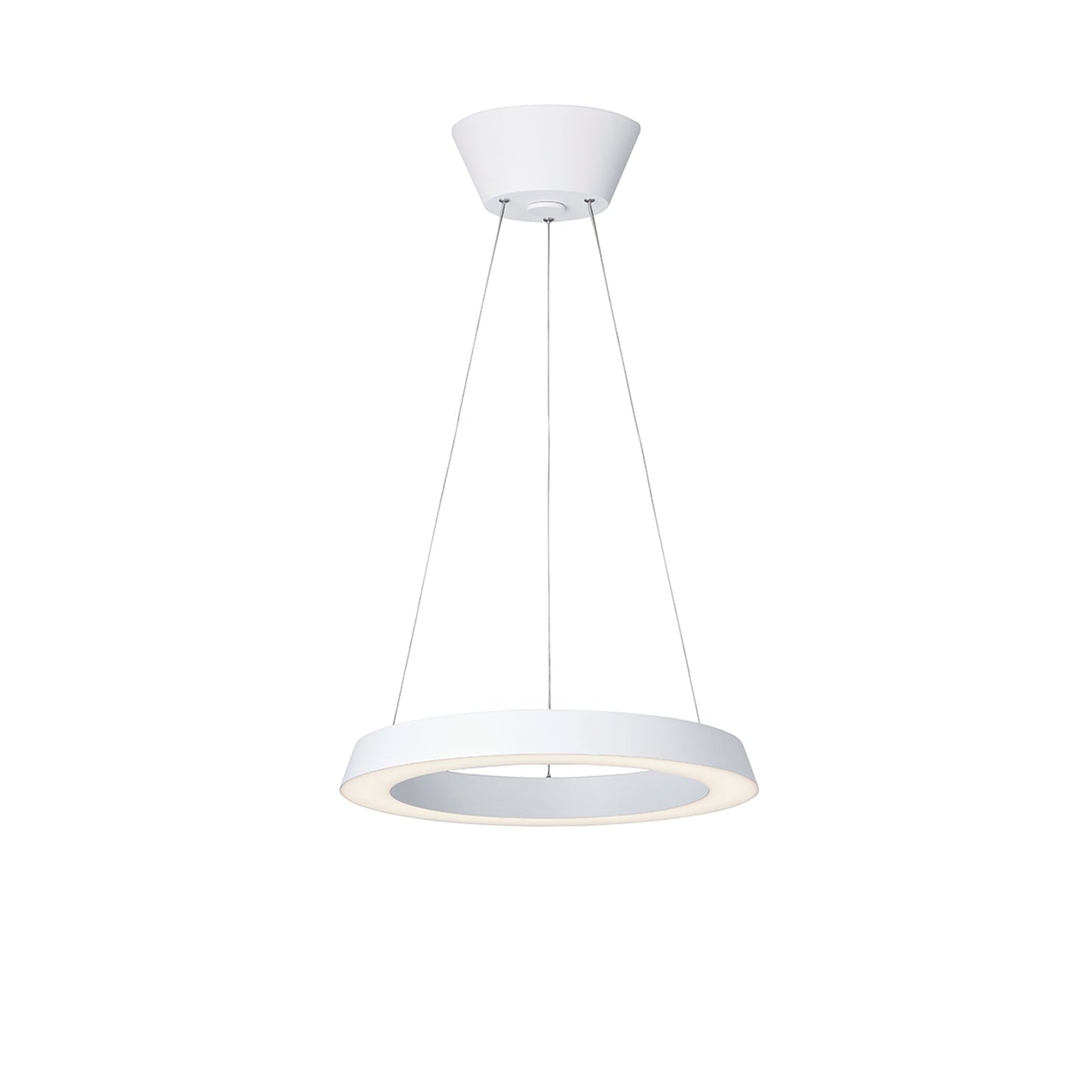 ART WORK STUDIO（アートワークスタジオ）Loop LED-pendant light（ループLEDペンダンライト）