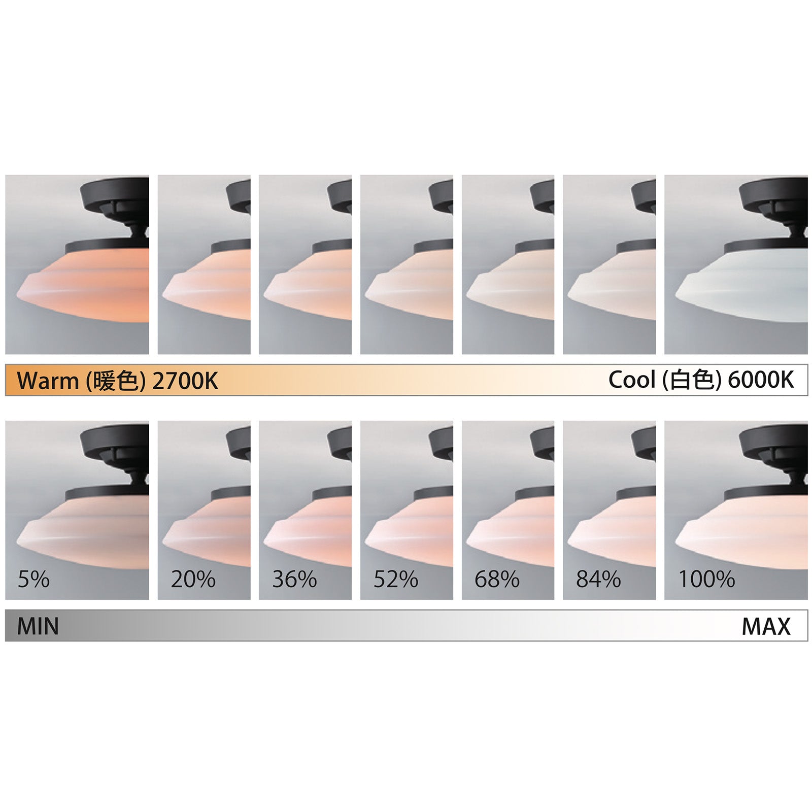 SMI アート・オブ・クリエイティブ・セリング ART WORK STUDIO（アートワークスタジオ）Graph LED-remote