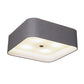 LALAMPA（ラランパ）LEAF CEILING LIGHT（リーフ シーリング ライト）